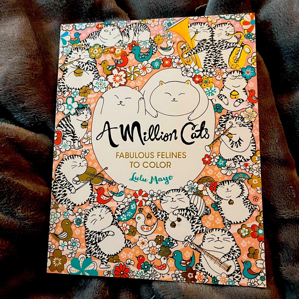 A million cats coloring book